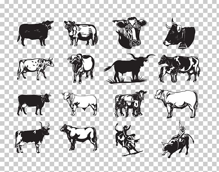 Texas Longhorn Beef Cattle Bull PNG, Clipart, Animals, Black, Black And White, Cartoon, Cattle Free PNG Download