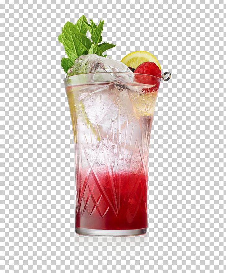 Cocktail Garnish Gin And Tonic Tonic Water PNG, Clipart, Bacardi Cocktail, Batida, Bay Breeze, Beefeater, Beefeater Gin Free PNG Download