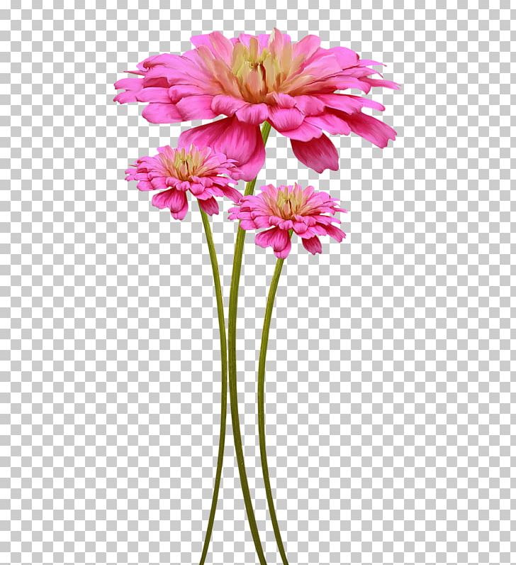 Flower Floral Design PNG, Clipart, Animation, Annual Plant, Cut Flowers, Daisy Family, Deco Free PNG Download