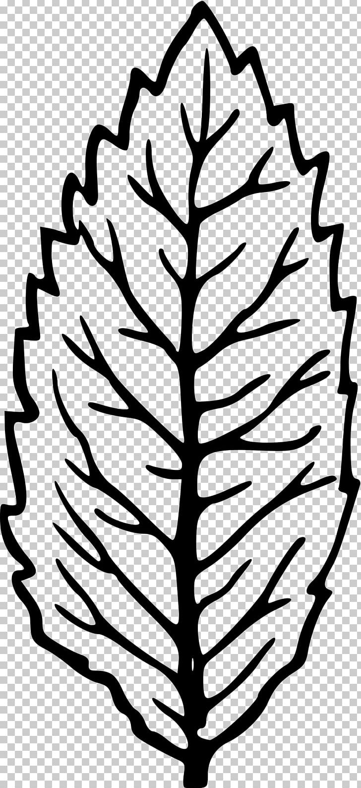 Leaf Plant Stem PNG, Clipart, Artwork, Black And White, Branch, Flora, Fraction Free PNG Download