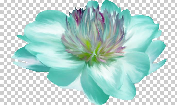 Petal Blue Flower Turquoise Clock PNG, Clipart, Annual Plant, Aquatic Plant, Attribute, Blue, Clock Free PNG Download
