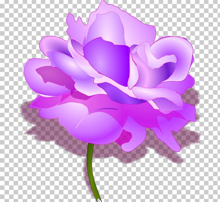 Open Graphics Drawing Rose PNG, Clipart, Anemone, Cut Flowers, Desktop Wallpaper, Drawing, Floral Design Free PNG Download