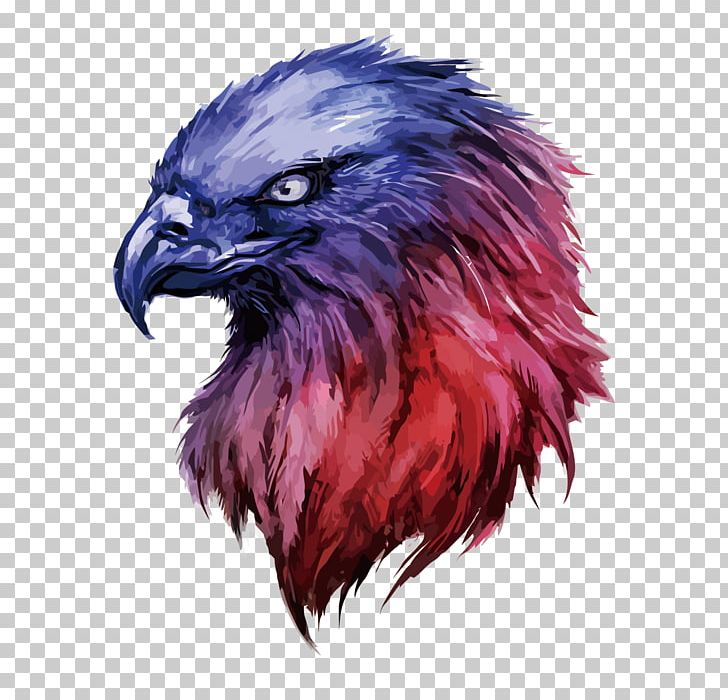 Oryol Eagle Embroidery Euclidean PNG, Clipart, Animals, Author, Bald Eagle, Beak, Bird Free PNG Download