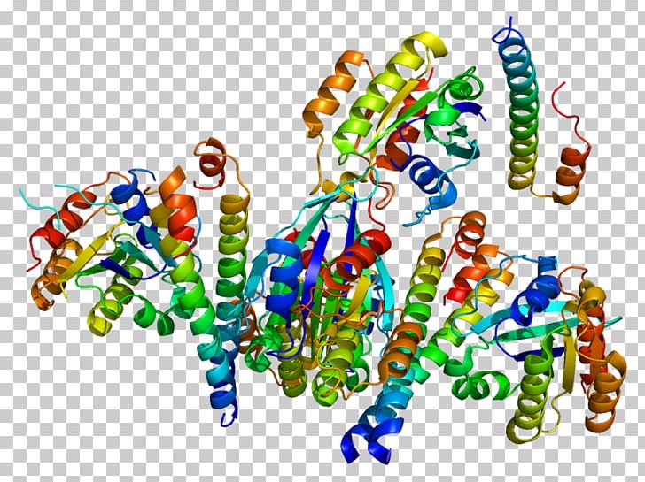 P-glycoprotein Gene Rabaptin RABEP1 PNG, Clipart, Effector, Enzyme, Gene, Gtpase, Homo Free PNG Download
