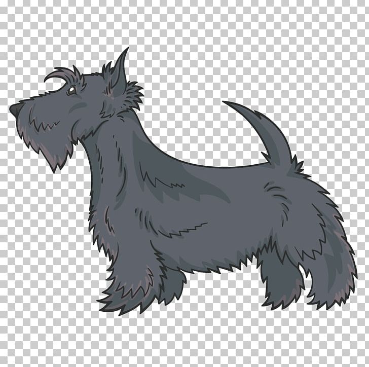 Scottish Terrier Miniature Schnauzer Cairn Terrier Pug Dog Breed PNG, Clipart, Animal, Animals, Canidae, Carnivoran, Decoration Free PNG Download