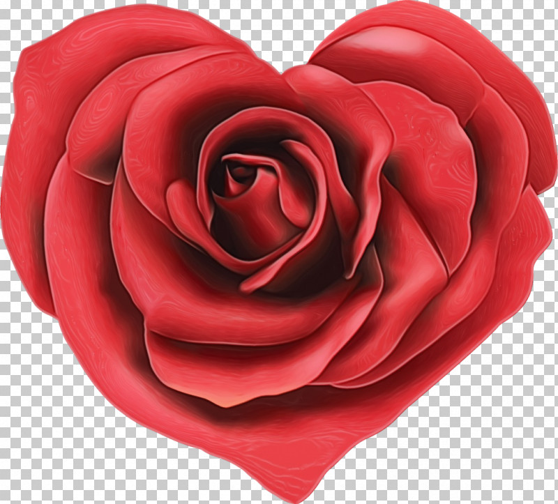 Garden Roses PNG, Clipart, Camellia, Carmine, China Rose, Cut Flowers, Floribunda Free PNG Download