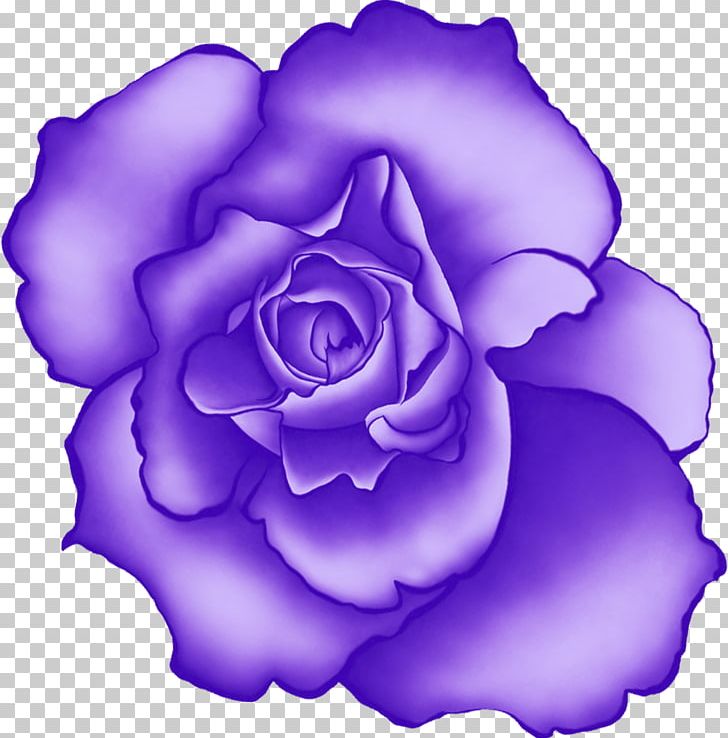 Beach Rose Flower Blue Rose Rosaceae PNG, Clipart, Beach Rose, Blue Rose, Cobalt Blue, Cut Flowers, Electric Blue Free PNG Download