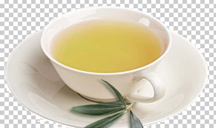 Hōjicha Earl Grey Tea Mate Cocido Oolong PNG, Clipart, Assam Tea, Common Nettle, Cup, Da Hong Pao, Dianhong Free PNG Download