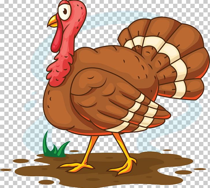 Turkey Meat Cartoon Illustration PNG, Clipart, Animal Slaughter, Bird, Chicken, Culture, Food Free PNG Download