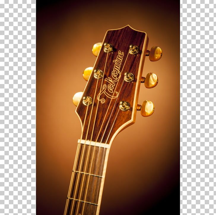 Bass Guitar Acoustic Guitar Acoustic-electric Guitar Takamine Guitars PNG, Clipart, Acoustic Electric Guitar, Cutaway, Guitar Accessory, Nat, Plucked String Instruments Free PNG Download