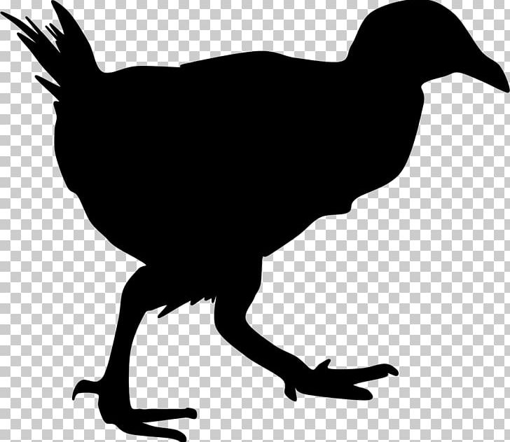 Bird Weka Silhouette Australasian Swamphen PNG, Clipart, Anatidae, Australasian Swamphen, Beak, Bird, Black And White Free PNG Download