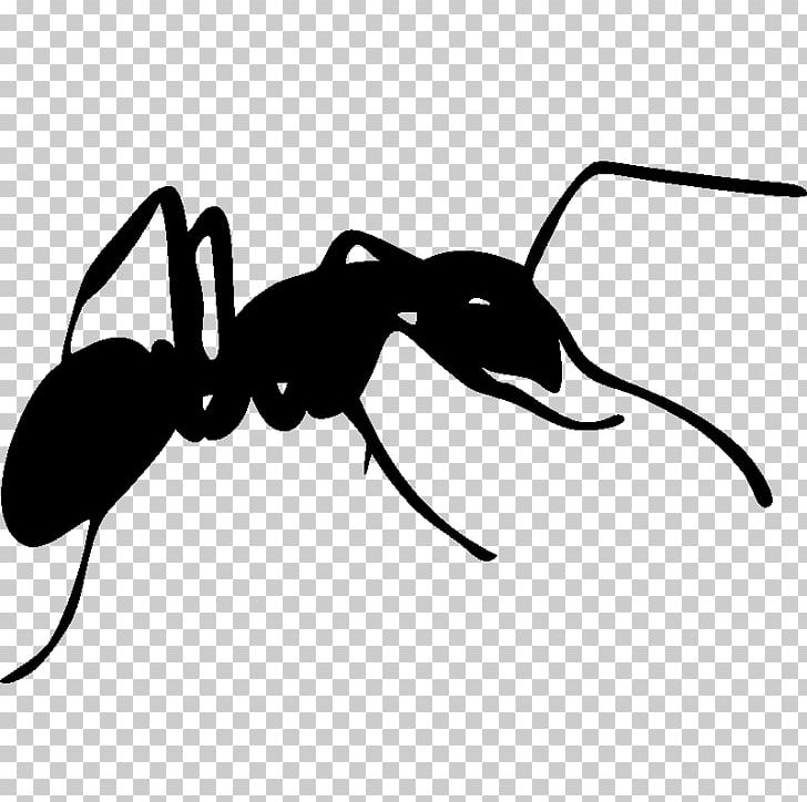 Ant Silhouette Photography PNG, Clipart, Animals, Ant, Ants Vector, Arthropod, Black And White Free PNG Download