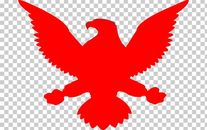 Bald Eagle Graphics Logo PNG, Clipart, Bald Eagle, Beak, Bird, Chicken, Eagle Free PNG Download