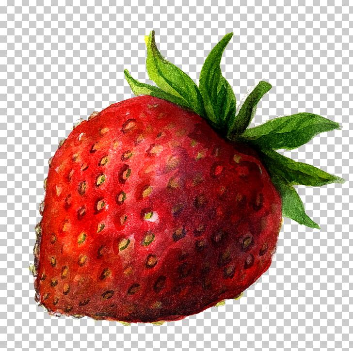Drawing Berry Painting Illustration PNG, Clipart, Accessory Fruit, Berry, Drawing, Food, Fruit Free PNG Download