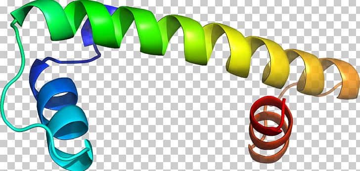 Food Body Jewellery PNG, Clipart, 4 D, Body Jewellery, Body Jewelry, Context, D 3 Free PNG Download