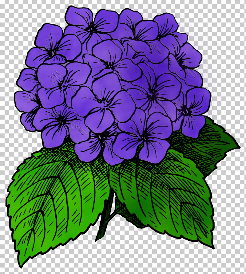 Flower Garden PNG, Clipart, Common Lilac, Flower, Flower Garden, French Hydrangea, Garden Free PNG Download