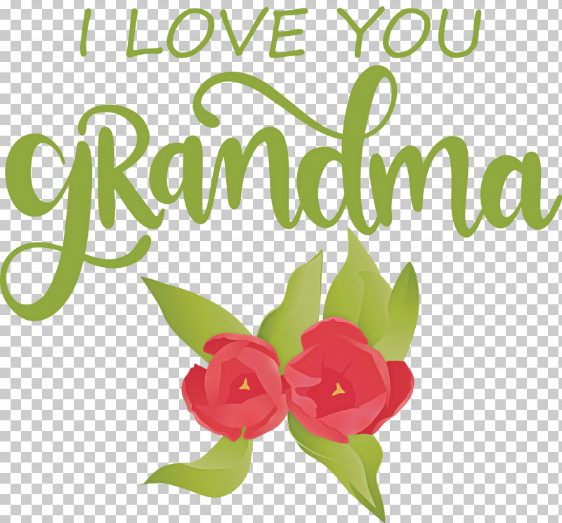 Grandmothers Day Grandma PNG, Clipart, Biology, Cut Flowers, Floral Design, Flower, Fruit Free PNG Download