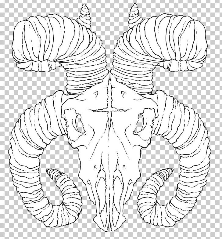 Drawing Line Art Symmetry PNG, Clipart, Arm, Art, Artwork, Black And White, Bone Free PNG Download