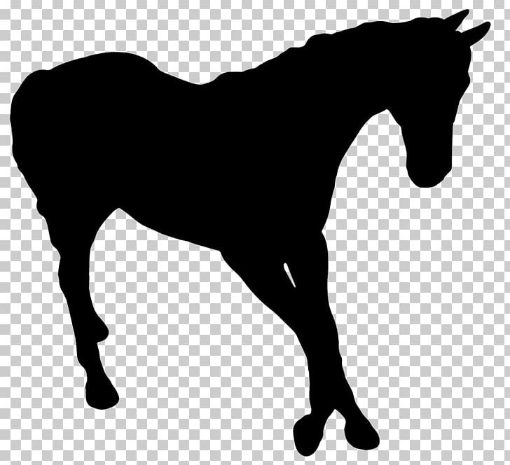 Horse Silhouette Photography PNG, Clipart, Animals, Black And White, Bridle, Colt, English Riding Free PNG Download
