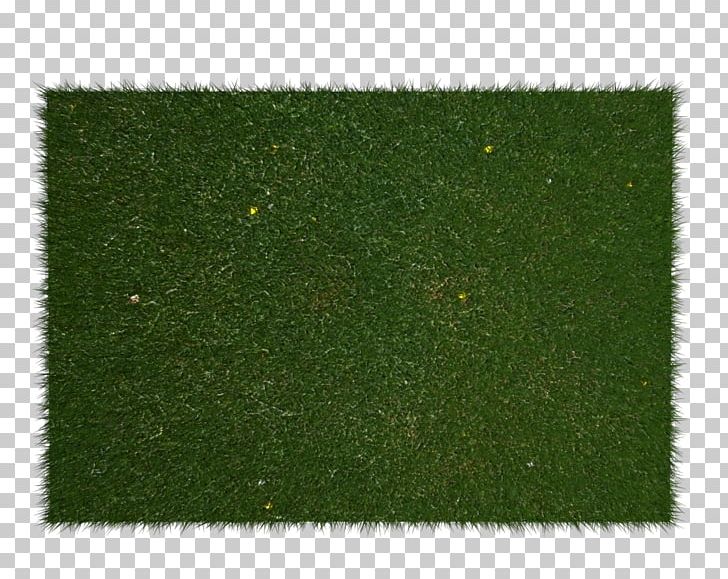 Lawn Artificial Turf Plant Shrub Rectangle PNG, Clipart, Artificial Turf, Field, Food Drinks, Grass, Green Free PNG Download