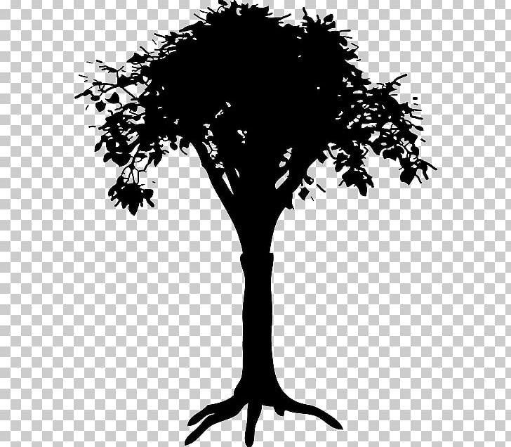 Tree PNG, Clipart, Black And White, Branch, Computer Icons, Computer Wallpaper, Flowering Plant Free PNG Download