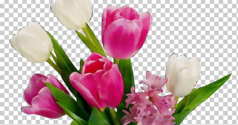 Floral Design PNG, Clipart, Bouquet, Bud, Crocus, Cut Flowers, Floral Design Free PNG Download
