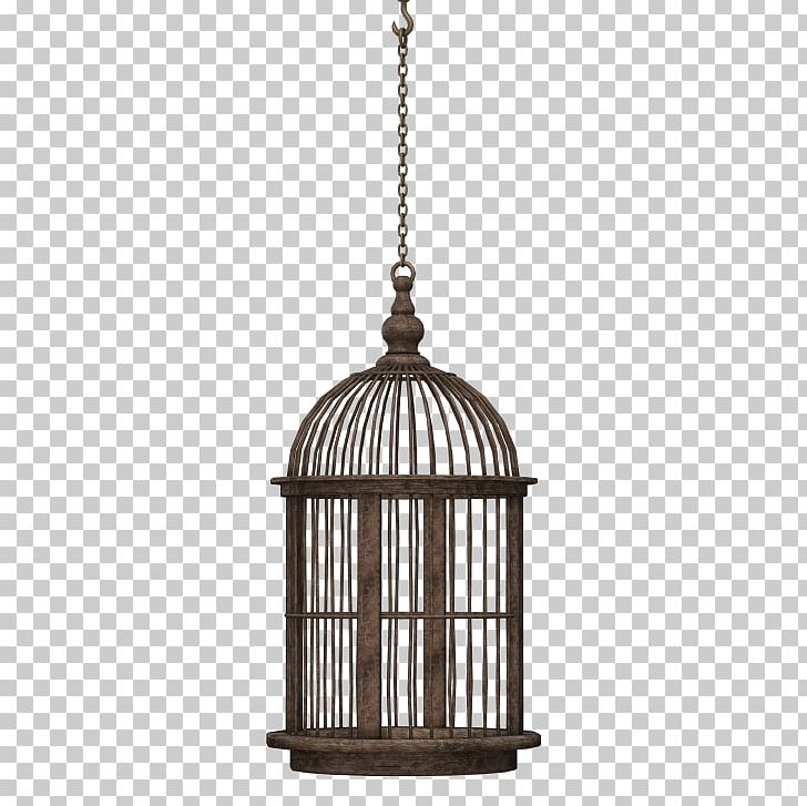 Birdcage Domestic Canary PNG, Clipart, Animal, Animals, Bird, Birdcage, Cage Free PNG Download