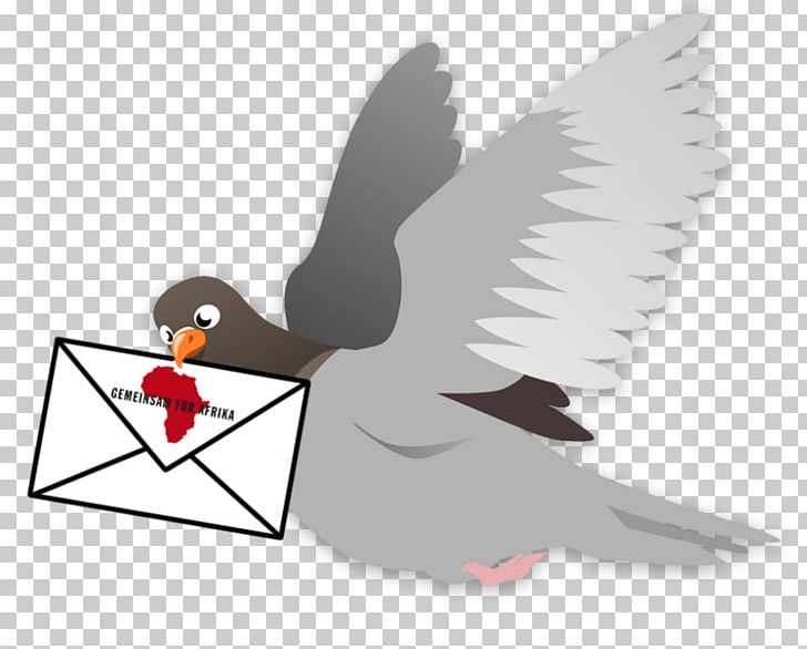 Homing Pigeon Computer Icons Flight Release Dove PNG, Clipart, Beak, Bird, Bird Flight, Columbidae, Columbiformes Free PNG Download
