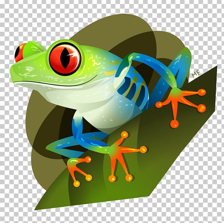 Red-eyed Tree Frog True Frog Red Eye PNG, Clipart, Amphibian, Animal, Animals, Behance, Biodiversity Free PNG Download