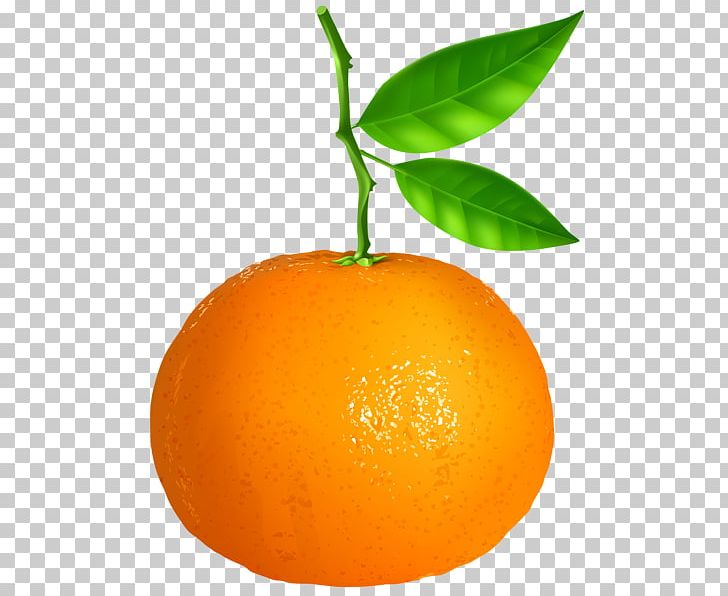 Tangerine Mandarin Orange Vegetarian Cuisine PNG, Clipart, Bitter Orange, Citric Acid, Citrus, Clementine, Food Free PNG Download
