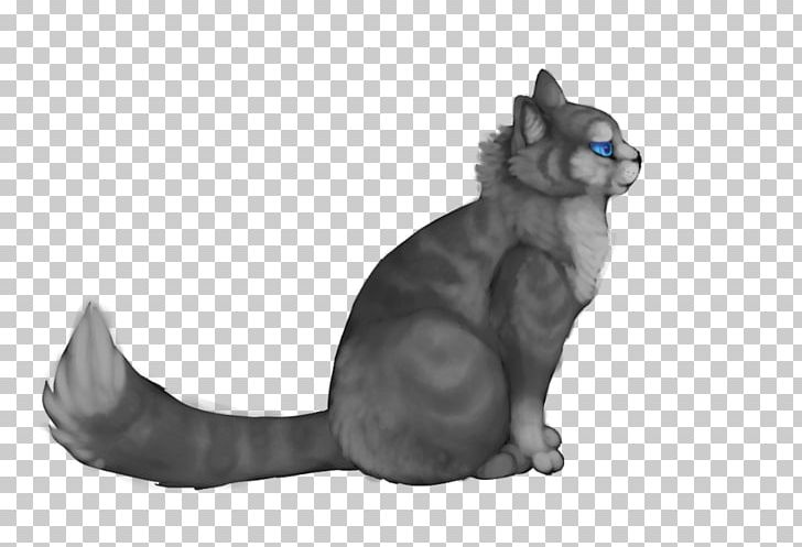 Whiskers Korat Jayfeather Domestic Short-haired Cat Hollyleaf PNG, Clipart, Carnivoran, Cat, Cat Like Mammal, Deviantart, Domestic Short Haired Cat Free PNG Download