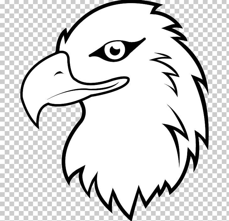 Bald Eagle White-tailed Eagle PNG, Clipart, Art, Artwork, Bald Eagle, Beak, Bird Free PNG Download