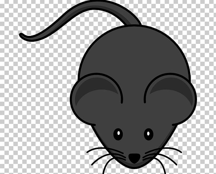Computer Mouse PNG, Clipart, Black, Black And White, Blue, Carnivoran, Cartoon Mouse Cliparts Free PNG Download