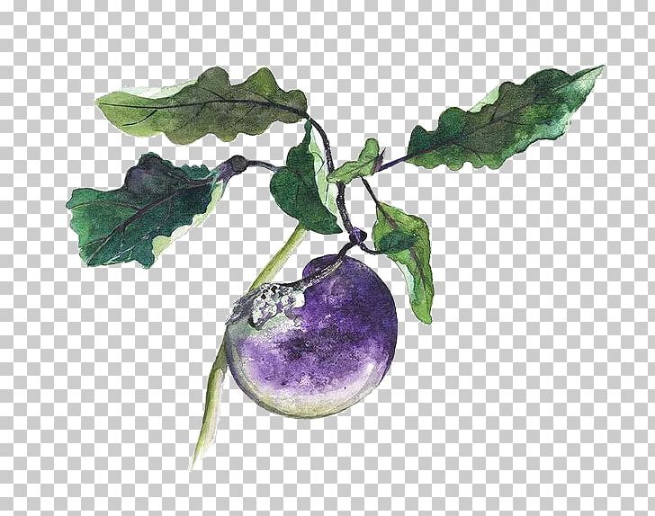 Eggplant Google S Icon PNG, Clipart, Branch, Cartoon, Download, Eggplant, Food Free PNG Download