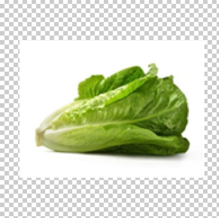 Iceberg Lettuce Leaf Vegetable Romaine Lettuce PNG, Clipart, Chard, Choy Sum, Collard Greens, Cucumber, Food Free PNG Download