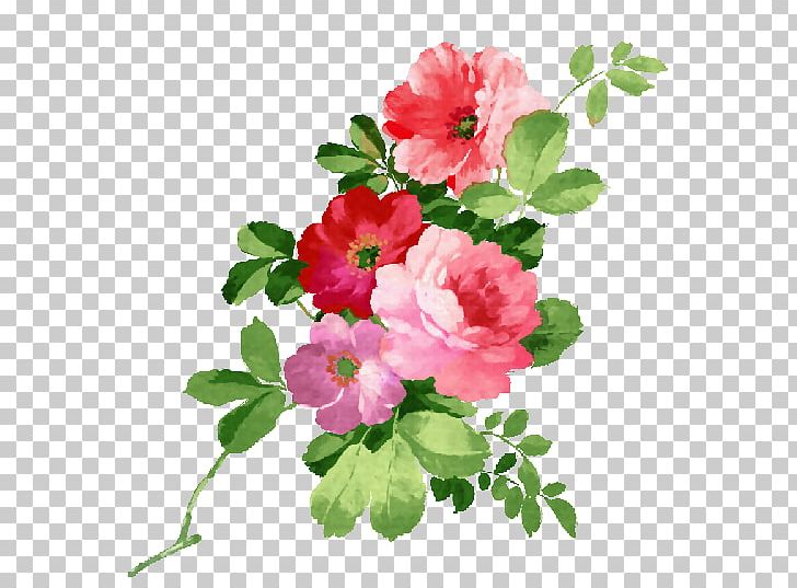 Watercolor Painting Flower PNG, Clipart, Annual Plant, Art, Azalea, Blossom, Drawing Free PNG Download