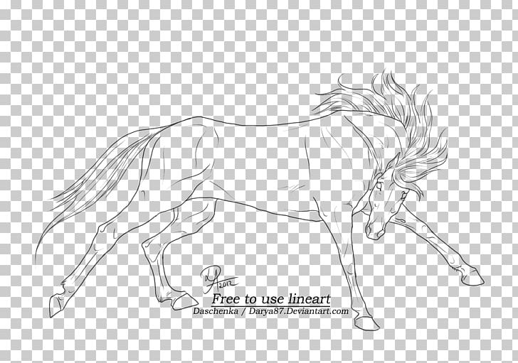 Arabian Horse Line Art Drawing Wild Horse PNG, Clipart, Arm, Art, Artwork, Black And White, Coloring Book Free PNG Download