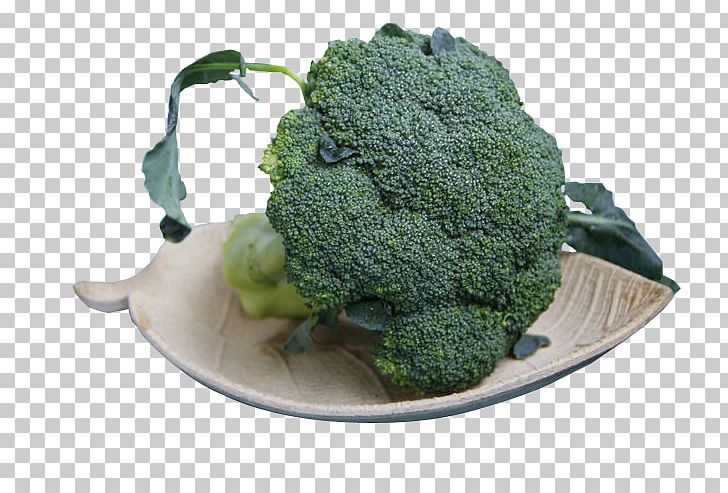 Broccoli Alpinia Officinarum Food PNG, Clipart, Alpinia, Alpinia Officinarum, Broccoli, Broccoli 0 0 3, Broccoli Art Free PNG Download