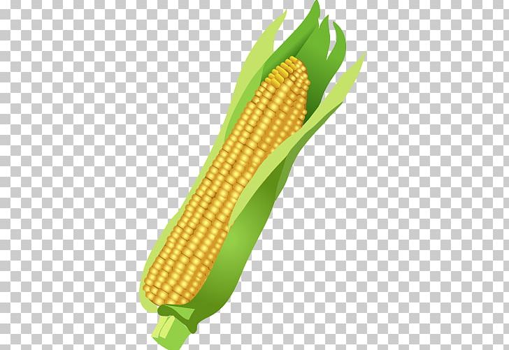 Corn On The Cob Maize Basalt Fiber PNG, Clipart, Commodity, Corn, Corn Kernel, Corn Vector, Crop Free PNG Download