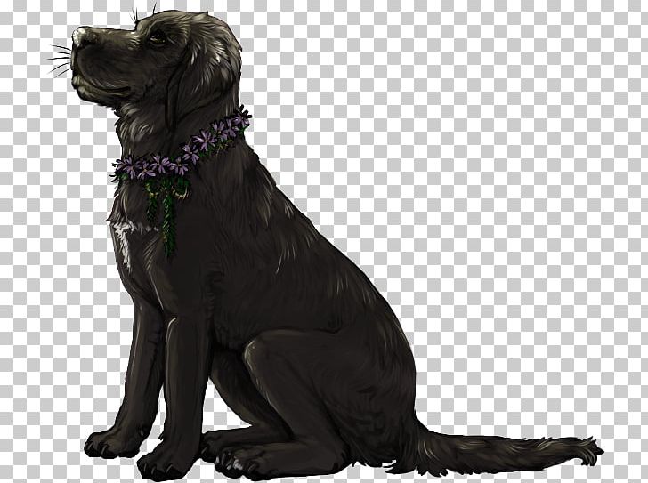 Labrador Retriever Flat-Coated Retriever Dog Breed Companion Dog PNG, Clipart, Breed, Carnivoran, Companion Dog, Crossbreed, Dog Free PNG Download