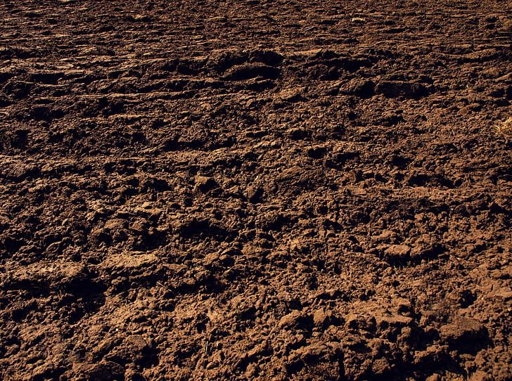 Soil Photography Texture Clay PNG, Clipart, Arable Land, Brown, Clay, Common Sunflower, Dirt Free PNG Download