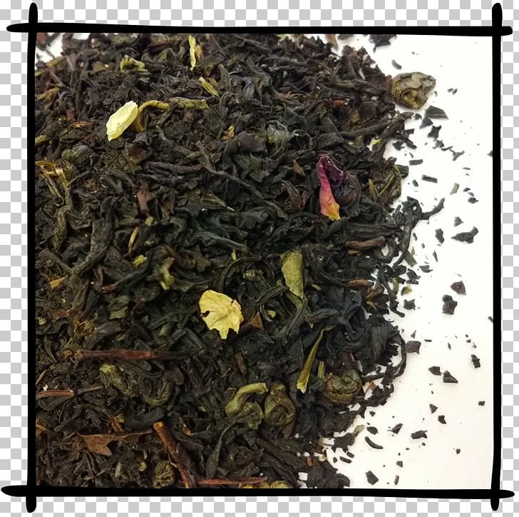 Assam Tea Earl Grey Tea Oolong Nilgiri Tea PNG, Clipart, Assam Tea, Bancha, Black Tea, Camellia Sinensis, Ceylon Tea Free PNG Download