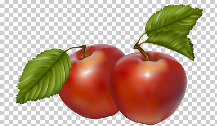 Cider Apple PNG, Clipart, Acerola, Acerola Family, Apple, Berry, Blog Free PNG Download