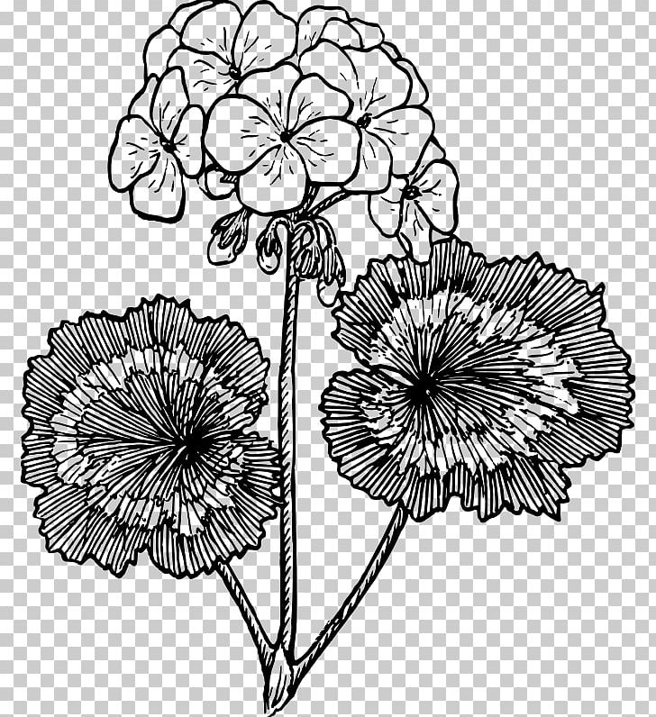 Drawing Crane's-bill Line Art PNG, Clipart, Artwork, Black And White, Chrysanths, Cranesbill, Cut Flowers Free PNG Download