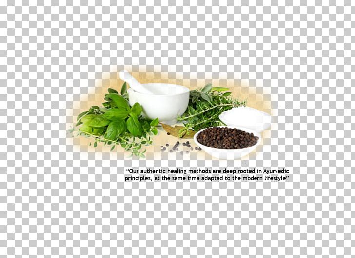 Herbalism Ayurveda Health Disease PNG, Clipart, Alternative Health Services, Ayurveda, Ayurvedic College, Cure, Disease Free PNG Download