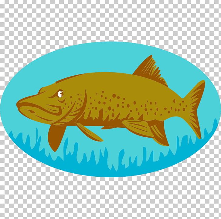 Northern Pike Muskellunge Stock Photography PNG, Clipart, Alamy, Bony Fish, Fauna, Fin, Fish Free PNG Download