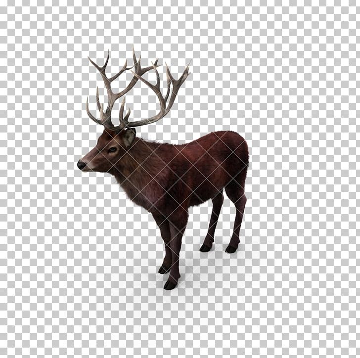 Reindeer Elk Red Deer Moose PNG, Clipart, 3d Animation, Animal, Animals, Animation, Anime Character Free PNG Download