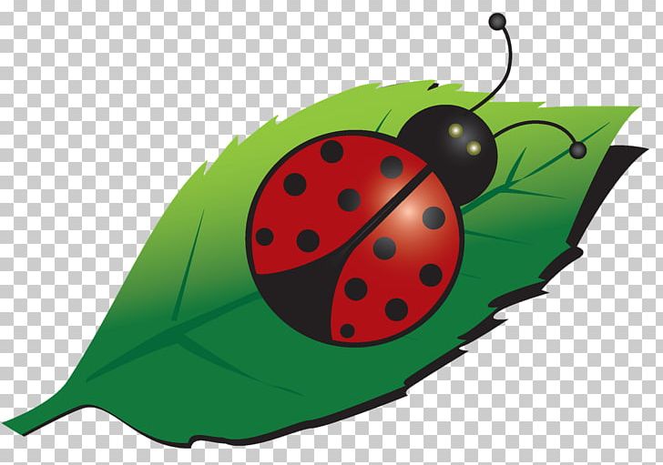Ladybird Beetle T-shirt Email PNG, Clipart, 2017, Animals, Beetle, Cutepdf, Drawing Free PNG Download