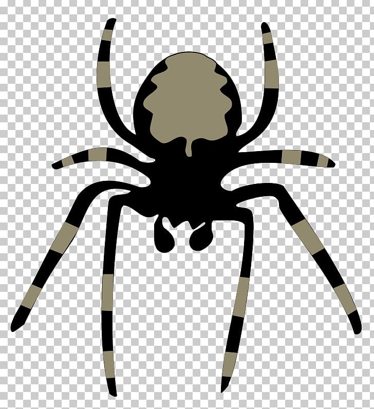 Spider Free Content Website PNG, Clipart, Arachnid, Arthropod, Blog, Copyright, Download Free PNG Download