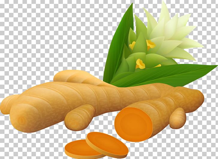 Turmeric Ginger Curcumin Illustration PNG, Clipart, Baby Carrot, Carrot, Cartoon, Chinese Paper Cut, Commodity Free PNG Download